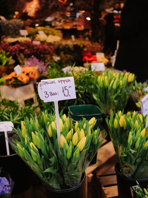 A display of fresh yellow tulips arranged in individual transparent plastic sleeves at a flower market. The tulips have vibrant green stems and unopened buds, sitting in black pots on wooden tables. A