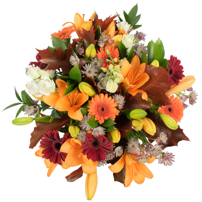 An artful, close-up overhead view of a richly textured autumn bouquet, thoughtfully composed by Flowers Woodside and captured against a stark white background so the warm palette leaps forward. The arrangement feels intentionally abundant: large, open orange Asiatic lilies take centre stage, their broad trumpet-shaped petals glossy and slightly recurved, while numerous firm buds in pale orange and bright green promise the bouquet will evolve. Bright orange Gerbera daisies and deep burgundy Gerberas create lively punctuation points with their sunburst petals and prominent dark centres; nestled between them are creamy-white lisianthus (or mini roses) whose ruffled layers soften the overall effect. Dusty-purple Astrantia adds an intricate, starry filler that brings airiness and delicate texture. Accenting the flowers are broad, lobed leaves in rich chestnut and reddish-brown tones that strongly evoke freshly fallen oak or maple, artfully placed as if gathered from a stroll near Woodside tram stop or along Woodside Road. Fresh green foliage and slender stems thread through the design, supporting the dense head and offering contrast. The bouquet reads as both festive and comforting: warm, harvest-coloured, and full-bodied, with imagined soft floral scents mingling with an earthy undertone. Perfect for a Thanksgiving centrepiece, a seasonal wedding table, or a thoughtful gift to mark a birthday or housewarming in the local area, this composition reflects neighbourhood sensibilities-from Woodside Green picnics to cosy gatherings near Lloyd Park-available to be delivered fresh and arranged with the care of a long-practiced local florist.