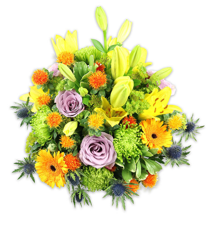 Against a crisp white background, this densely packed floral composition presents a joyful study in contrast and balance-warm citrus tones softened by cool blue accents and lush green structure. Several radiant yellow Asiatic lilies take centre stage, their petals sometimes fully opened to display delicate speckling and sometimes folded into elongated buds that add graceful height and a sense of expectancy. Two lavender-toned roses, their petals curling inward in classic spirals, provide a calming focal point that complements rather than competes with the brighter elements. Scattered through the mound are vivid orange Gerbera daisies whose broad, flat petals fan out like miniature suns around darker centres, while compact lime-green 'button' chrysanthemums contribute rich, textured volume that makes the bouquet read as almost cushion-like. Tiny globe-shaped yellow and orange accent blooms-playful, slightly spiky in form-offer twinkling highlights across the surface. At the lower and side edges, blue-grey Eryngium thistles emerge with spiny, architectural bracts that lend a contemporary twist and cool tonal counterpoint to the warmer florals. A variety of glossy and matte foliage layers beneath and between the flowers, creating depth and a sense of natural growth: broad lily leaves, slender stems, and small glossy fillers weave the elements into a cohesive whole. Bathed in soft morning light, the arrangement exudes friendliness and optimism; the lilies' perfume would be gently heady, tempered by the faint green aroma of foliage. Ideal as a celebratory centrepiece, a thoughtful congratulations bouquet, or an elegant get-well gift for neighbours around Woodside High Street and nearby markets, this design feels both artful and welcoming.