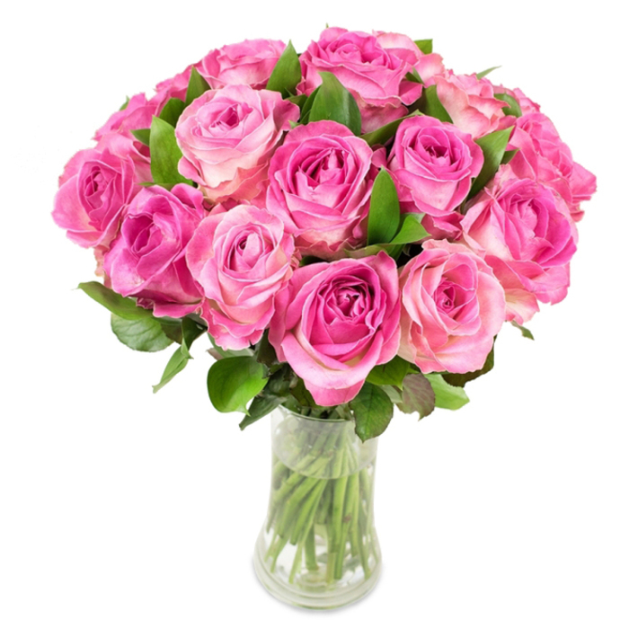 A luxuriant, hand-styled bouquet of approximately two dozen pink roses, presented in a clear, curved glass vase that reveals the neat, green stems standing in water. Each rose displays a gentle ombré: intense magenta or fuchsia concentrated in the tight centre spirals that gradually transition to softer blush pink and sometimes a faint cream along the outermost petals. The blooms are closely arranged to form a full, rounded silhouette-an intentional dome that reads both abundant and refined. Between and beneath the flower heads, deep green foliage emerges, its smooth leaves giving contrast, depth, and rhythm to the composition; under steady, even lighting the velvety textures and subtle veining of each petal are clearly visible. The vase itself narrows slightly at the waist before flaring toward the rim and base, adding an elegant line that complements the compact dome of flowers, and the pristine white background serves to make the pinks sing without distraction. This image evokes occasions that call for thoughtfulness and beauty: anniversaries, wedding table accents, Mother's Day tokens, or a sincere gesture of appreciation. As Flowers Woodside's local craft would suggest, these roses feel freshly gathered-imagine them being carried from our shop along Woodside High Street or past Woodside Green to a nearby home-and their fragrance hangs faint and sweet in the imagined air. The overall effect is timeless, confident floral design: simple materials, expert placement, and a focus on the natural radiance of garden-fresh roses.